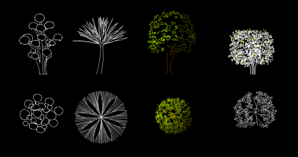 Ornamental trees drawing – dwg